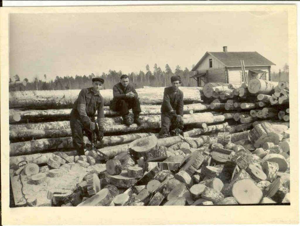 Holzfäller auf Baumstämmen, historisches Foto