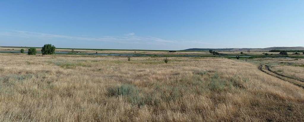 Steppenlandschaft im Sommer