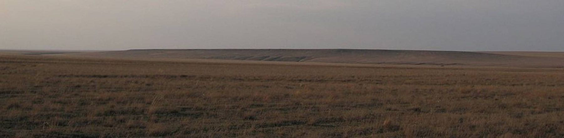 Weite Steppe in der Dämmerung