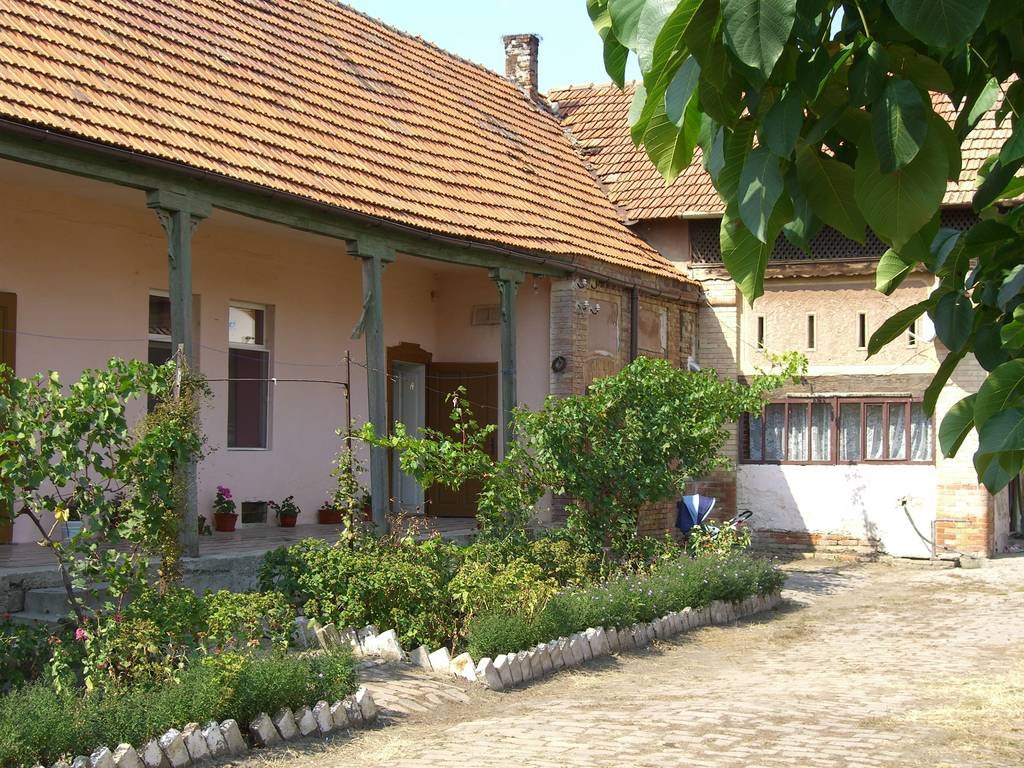 Hof mit Laubengang in Neubeschenowa (Dudesti Noi) 2009
