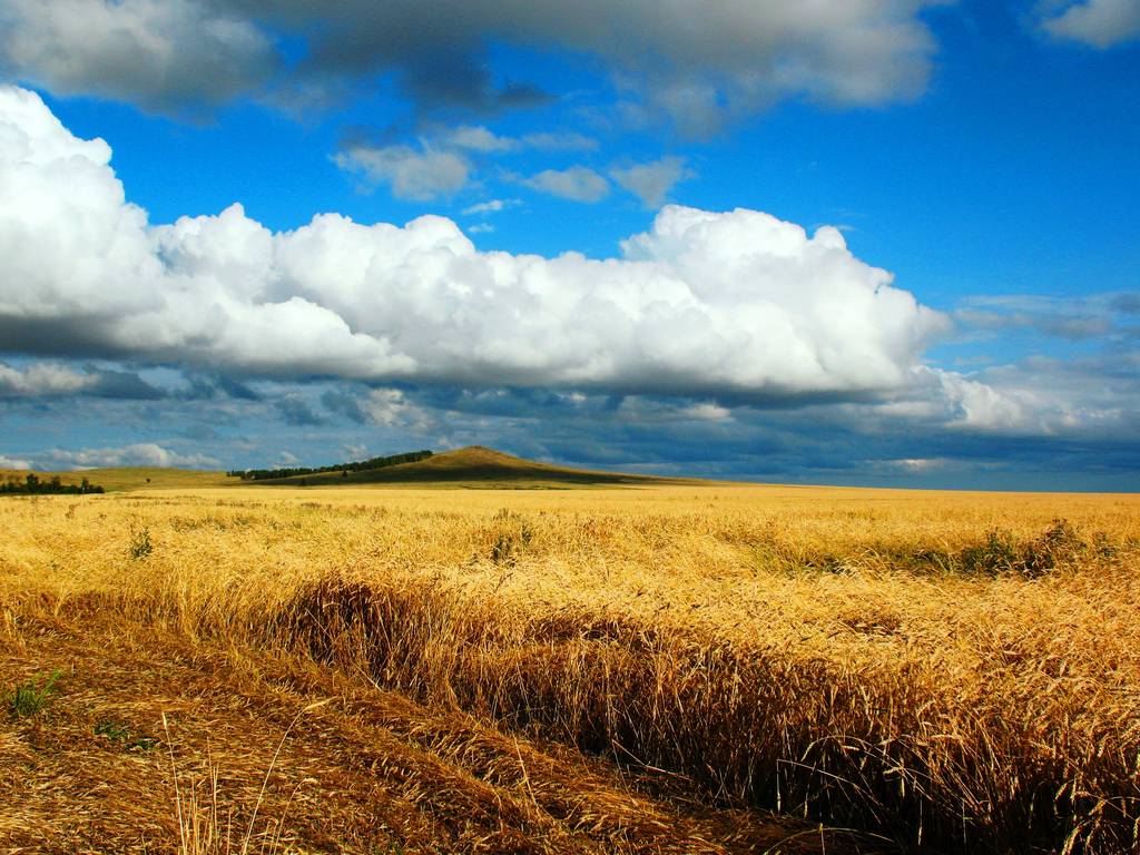 kasachische Landschaft bei Kokschetau