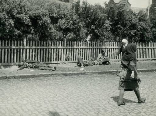 Starved peasants on a street in Kharkiv, 1933. In Famine in the Soviet Ukraine, 1932–1933: a memorial exhibition, Widener Library, Harvard University. Cambridge, Mass.: Harvard College Library: Distributed by Harvard University Press, 1986. Procyk, Oksana. Heretz, Leonid. Mace, James E. (James Earnest). ISBN: 0674294262. Page 35. Initially published in Muss Russland Hungern? [Must Russia Starve?], published by Wilhelm Braumüller, Wien [Vienna] 1935.